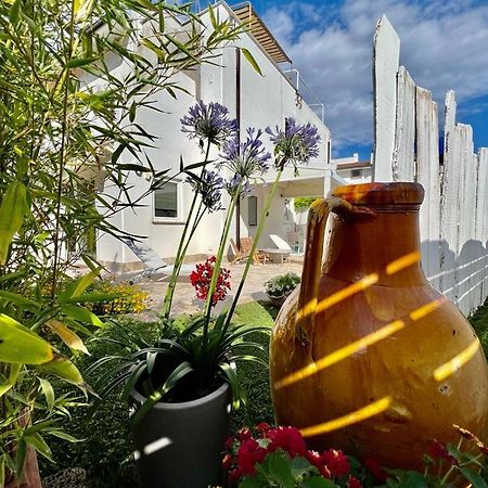 Marina di Cerveteri Casa Mila Whiteヴィラ エクステリア 写真