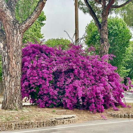Marina di Cerveteri Casa Mila Whiteヴィラ エクステリア 写真