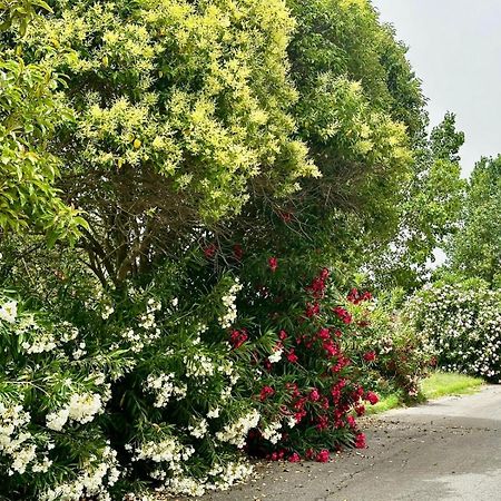 Marina di Cerveteri Casa Mila Whiteヴィラ エクステリア 写真