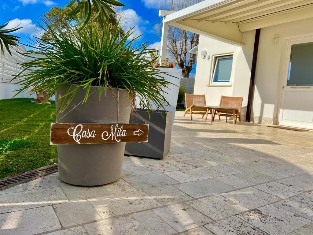 Marina di Cerveteri Casa Mila Whiteヴィラ エクステリア 写真