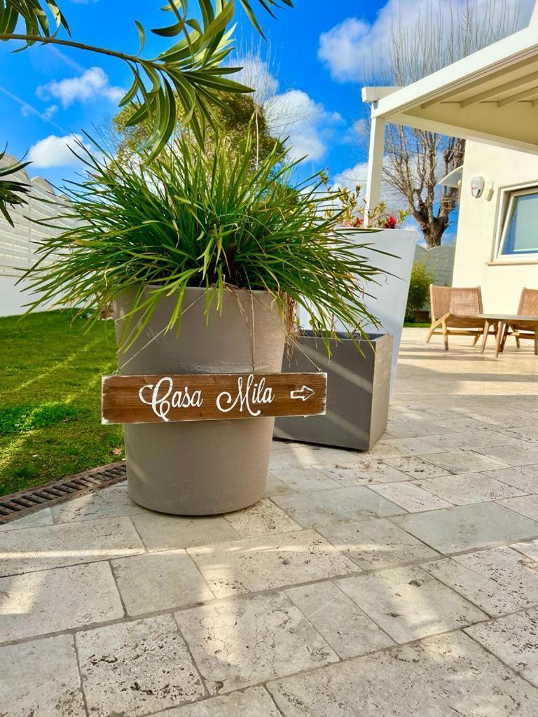 Marina di Cerveteri Casa Mila Whiteヴィラ エクステリア 写真