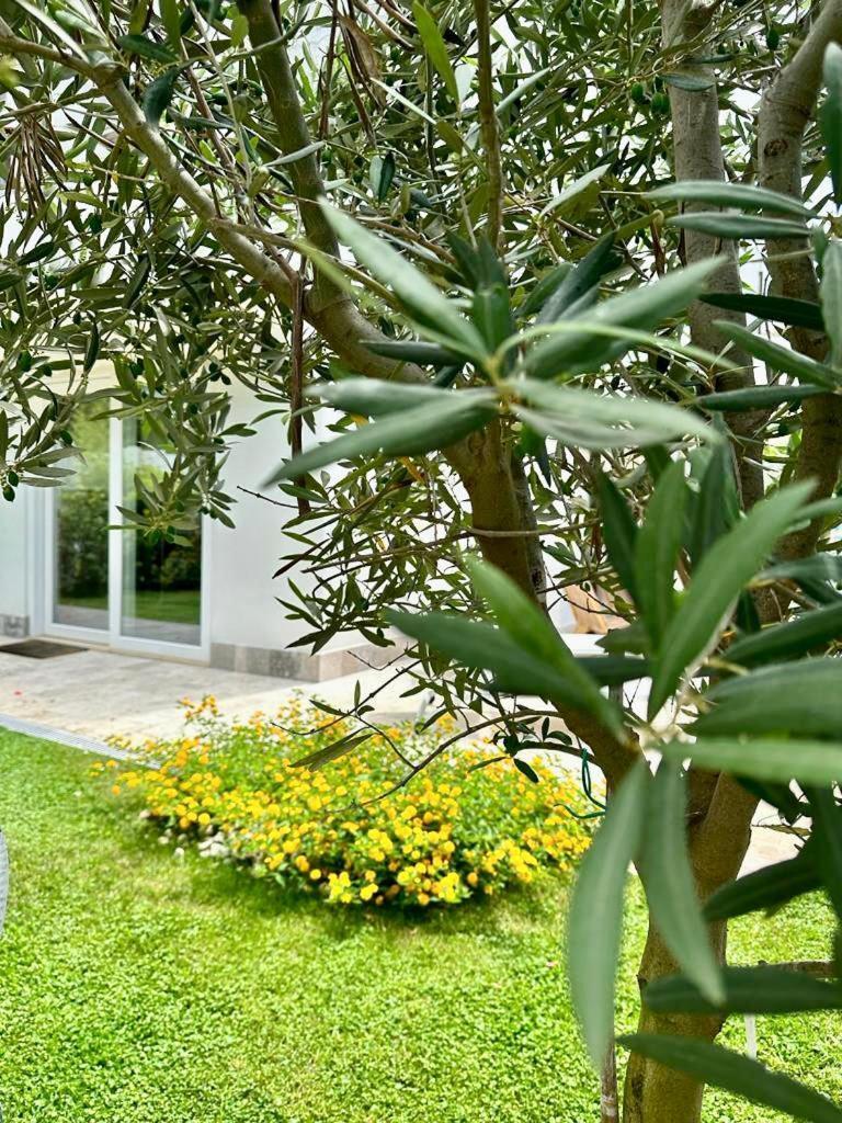 Marina di Cerveteri Casa Mila Whiteヴィラ エクステリア 写真