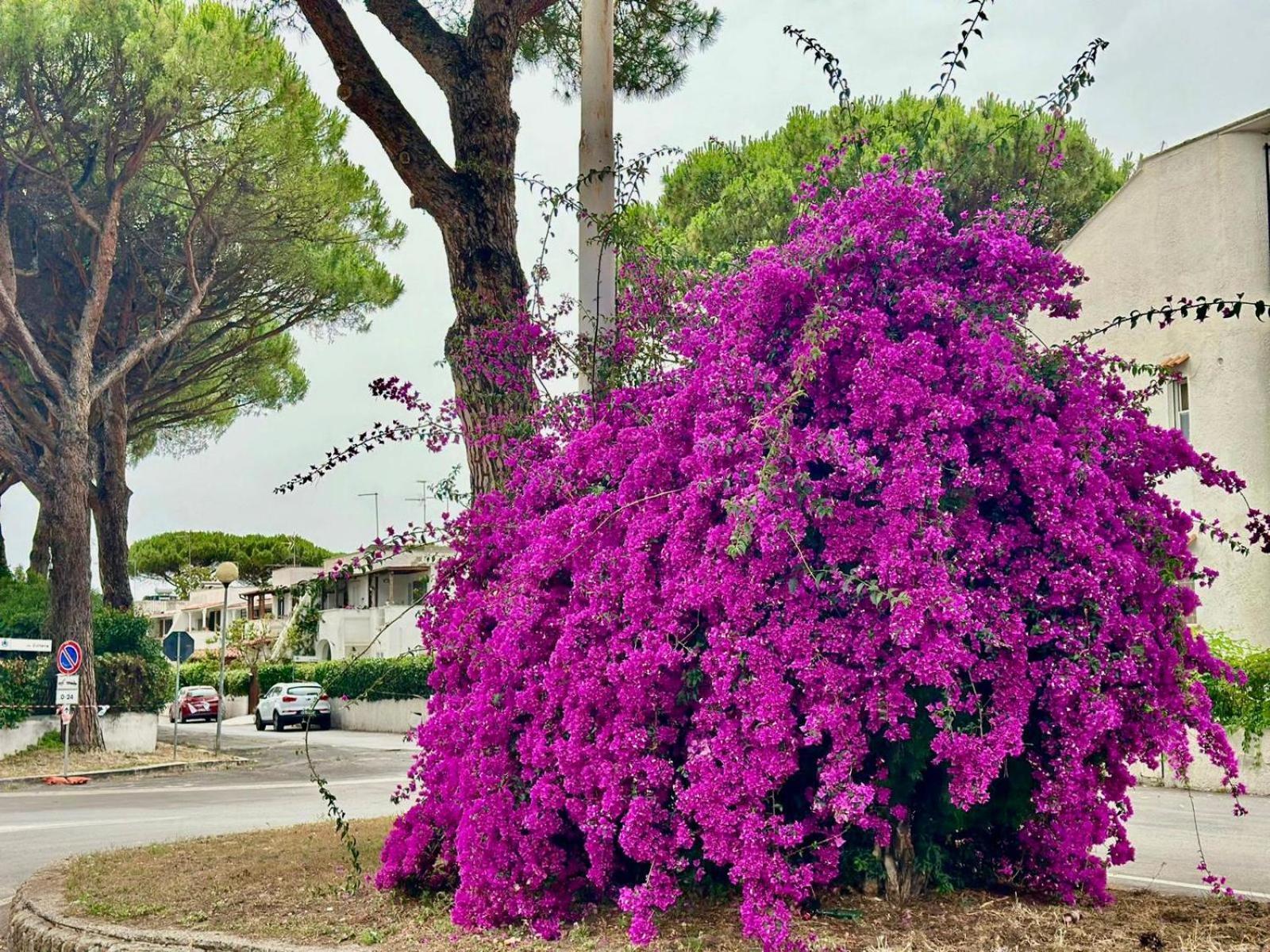 Marina di Cerveteri Casa Mila Whiteヴィラ エクステリア 写真