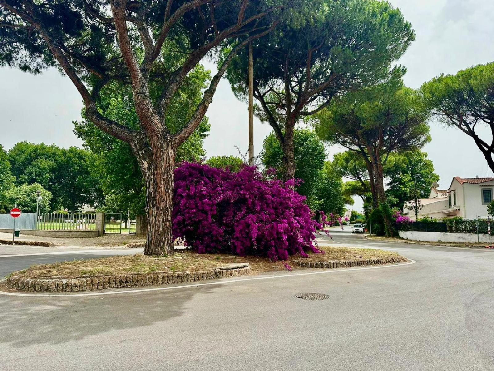 Marina di Cerveteri Casa Mila Whiteヴィラ エクステリア 写真